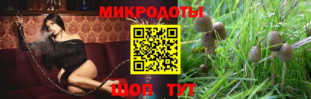 где можно купить   Галлюциногенные грибы MAGIC MUSHROOMS  Магадан  Вход с VPN  Псилоцибиновые грибы прущие грибы 